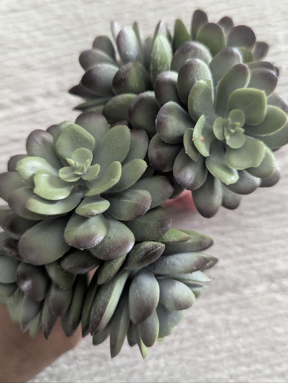 Artificial Succulent Picks | Realistic Faux Succulents | Set Of Two